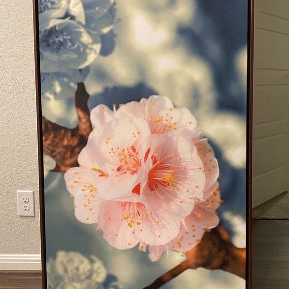 Decor - Picture 2 of 4